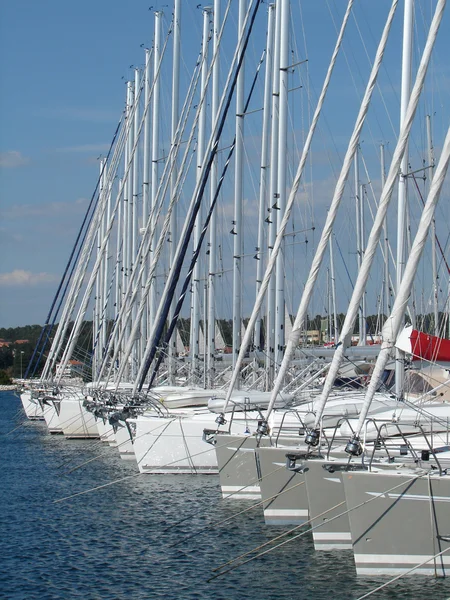 Yacht masts in marina — Stock Photo, Image