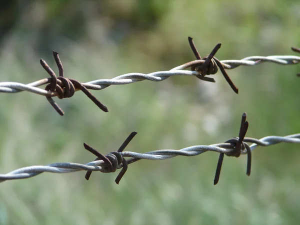 Barbed wire — Stock Photo, Image