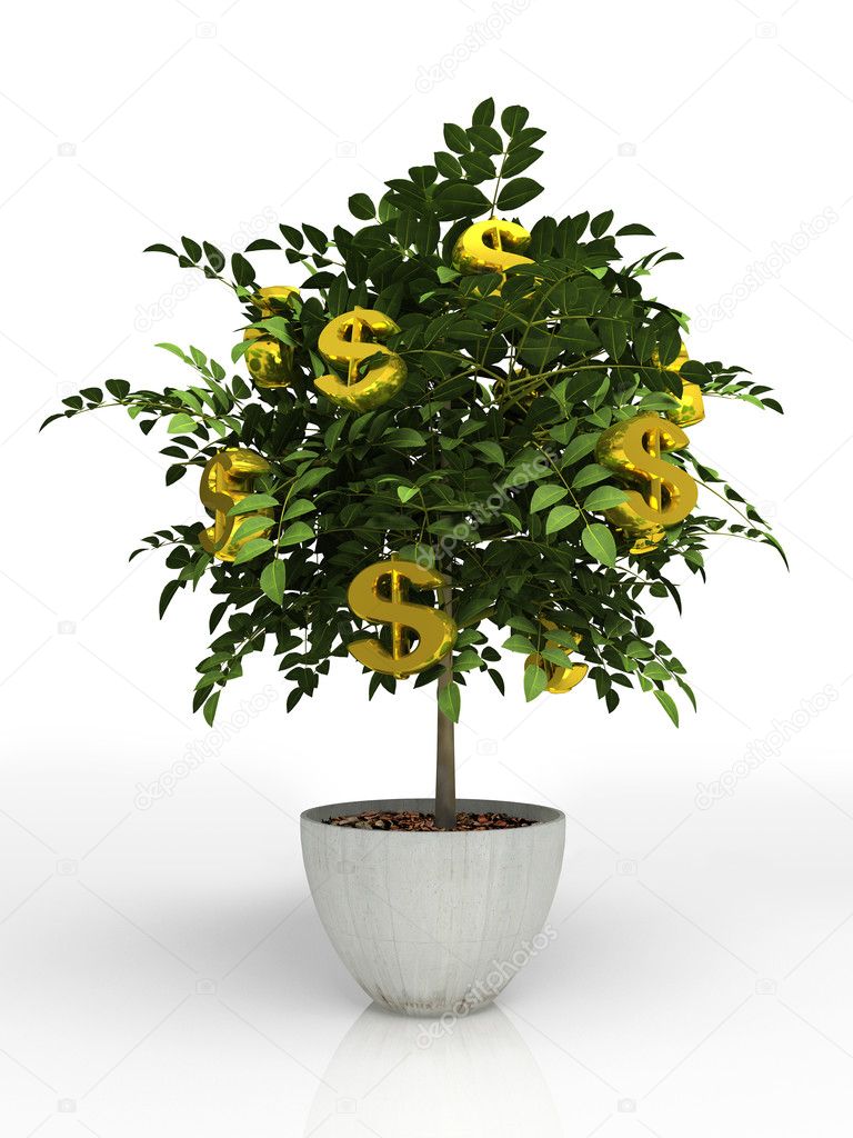 Money tree in flowerpot isolated