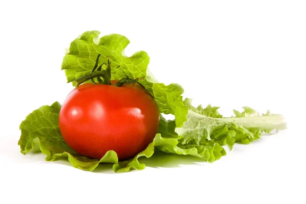 Tomate e salada — Fotografia de Stock