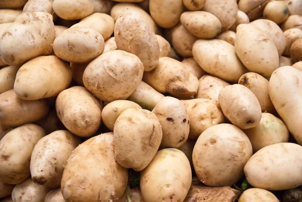 Białe ziemniaki — Zdjęcie stockowe