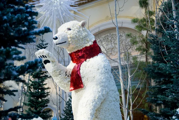 Medve hó — Stock Fotó
