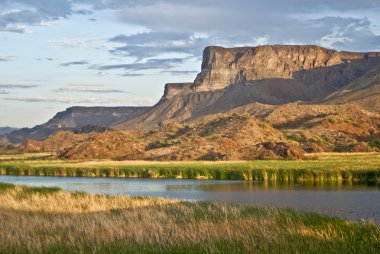 Desert Wetlands clipart