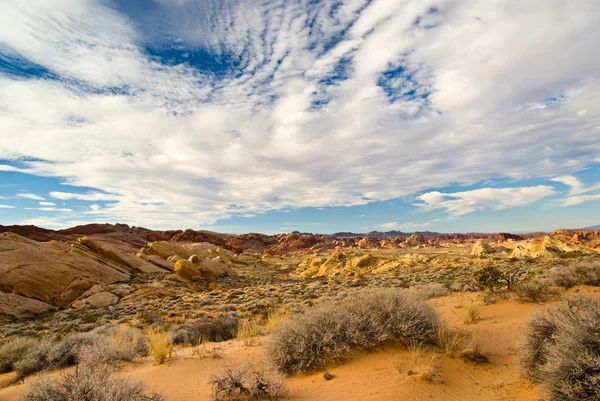 砂漠の静けさ — ストック写真