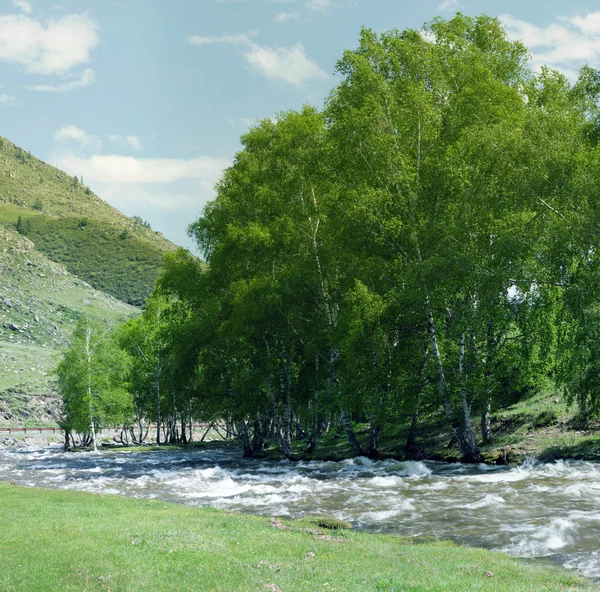 stock image Landscape