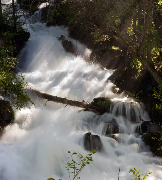 stock image Landscape