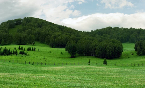 stock image Landscape