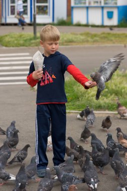 çocuk ve güvercinler