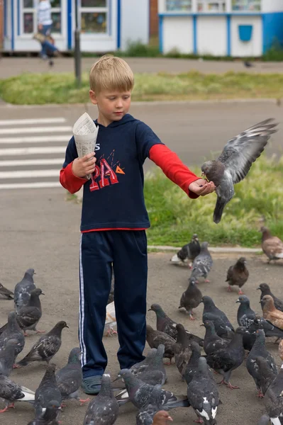 stock image The boy and pigeons