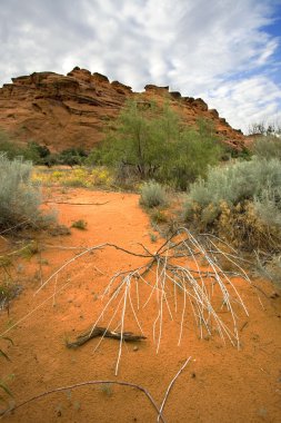 Looking into the Redrocks clipart