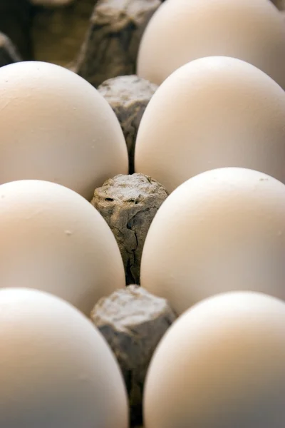 stock image Close up on Eggs in a Carton