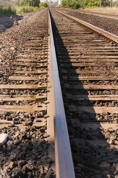 Tory kolejowe — Zdjęcie stockowe