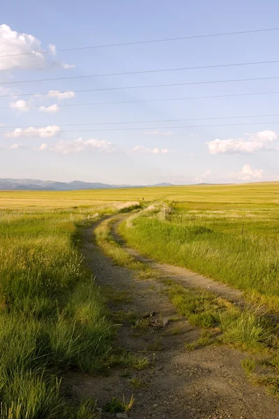 Path in the Field — Stock Photo, Image