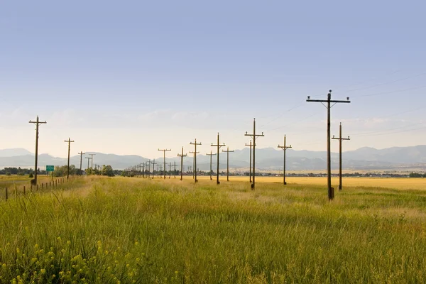 Electric Poles in Perspective - Country — Stock Photo, Image