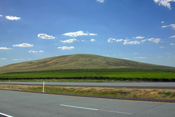 Platteland landbouw velden op een heuvel — Stockfoto