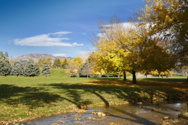 Park, Trees and Clear Skies clipart