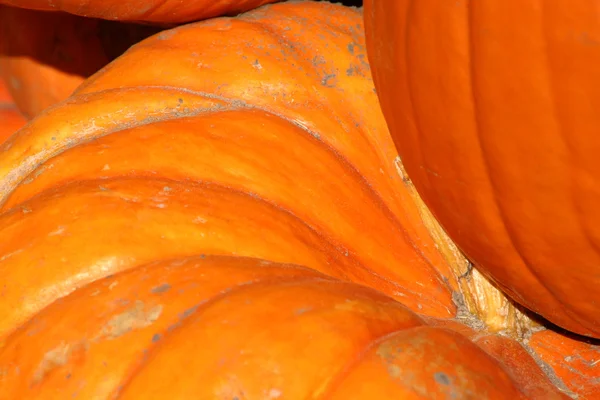 Stock image Up Close - Pumpkin