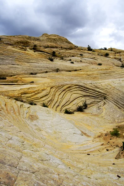 stock image Looking up the Sandstones