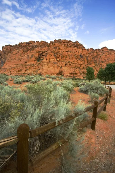 Hiking Path in Snow Canyon — Stock Photo, Image