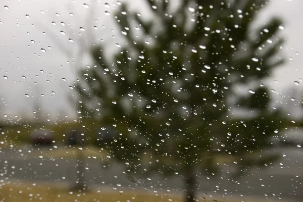 Chuva cai no pára-brisas — Fotografia de Stock
