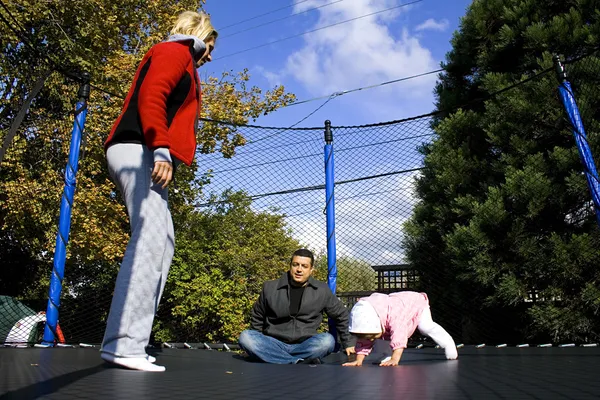 Rodina na trampolíně hraje — Stock fotografie