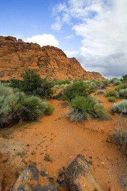 Snow Canyon - Utah clipart