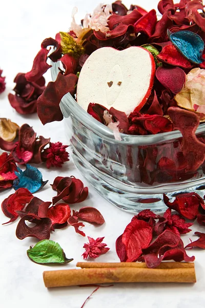 Close up on dried leaves and rose — Stock Photo, Image