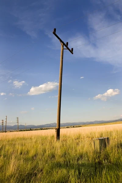 Electric Pole in a Field in Helena — Stock Photo, Image