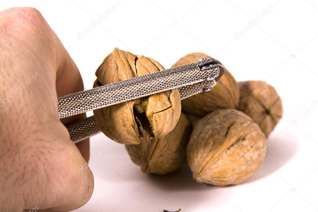 Cracking Walnuts — Stock Photo © mdilsiz #3622110