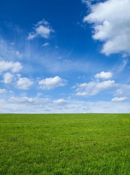 Zelené pole a obloha — Stock fotografie