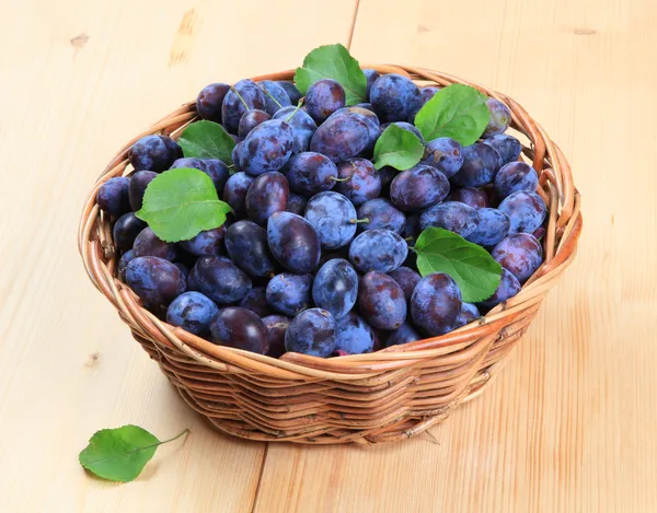 Freshly picked damson plums — Stock Photo, Image