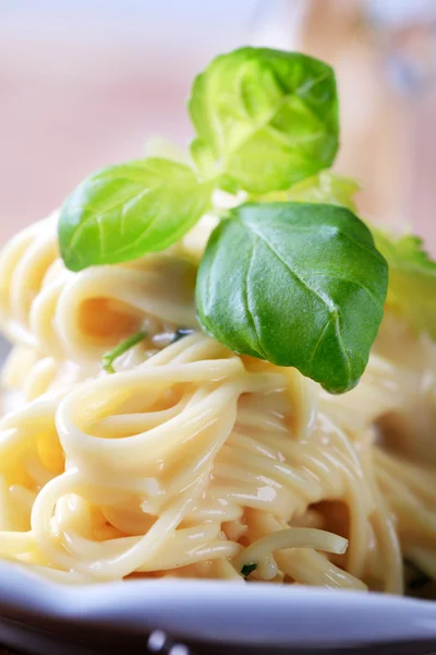 Spaghetti con salsa al formaggio — Foto Stock