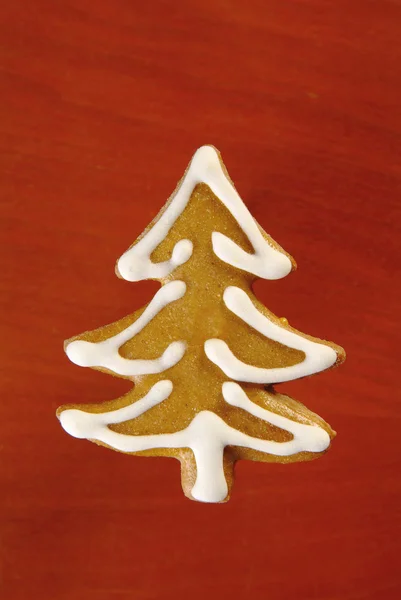 Zencefilli kurabiye ağacı — Stok fotoğraf