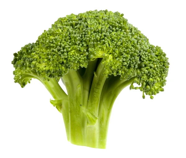 Broccoli head — Stock Photo, Image