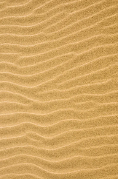 Rippled Sand — Stock Photo, Image
