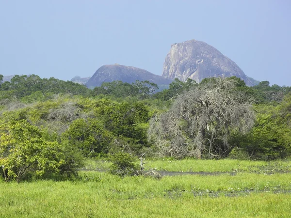 Krajobraz Yala — Zdjęcie stockowe