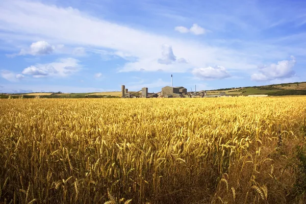 Une mine de potasse avec des champs de blé — Photo