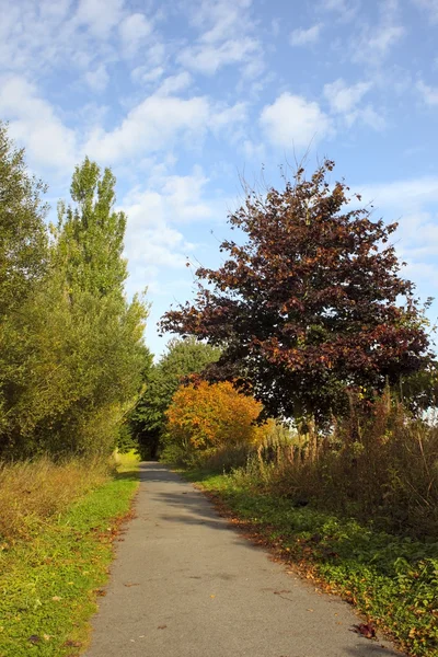 Велосипедный путь осенью — стоковое фото
