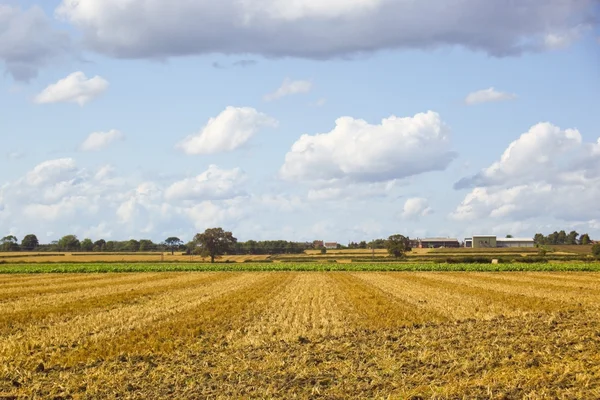 Farming landscape — Stock Photo, Image