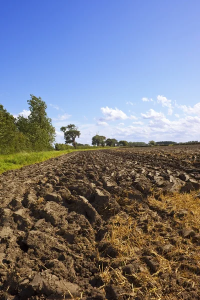 Ploughed soil — Stock Photo, Image