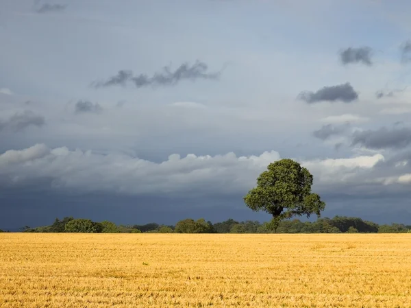 田园和风暴天空 — 图库照片