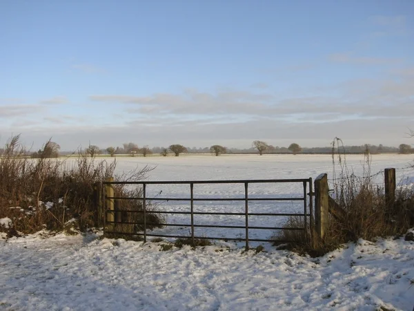Замерзший пейзаж 3 — стоковое фото