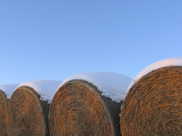 stock image Round bales with snow 2