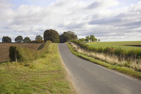 English country road — Stock Photo, Image
