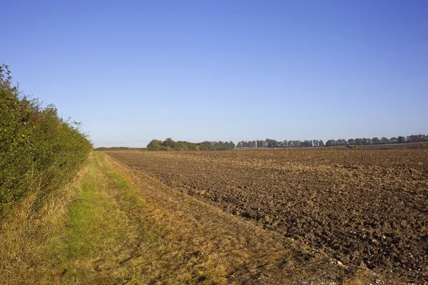 Krajobrazu rolniczego — Zdjęcie stockowe