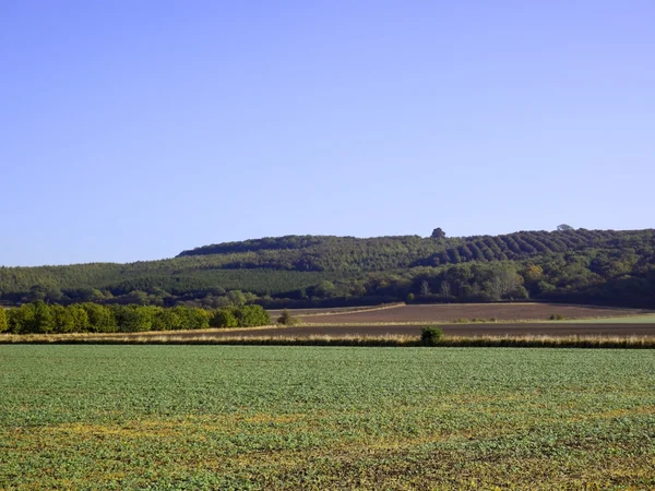 Agrarische landschap 2 — Stockfoto