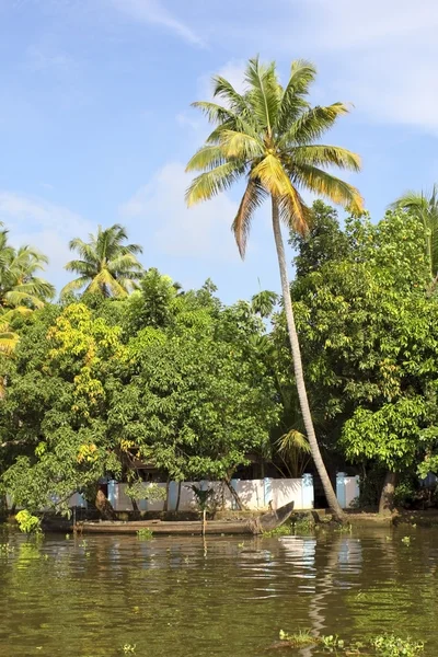 Keralan backwaters — Stockfoto