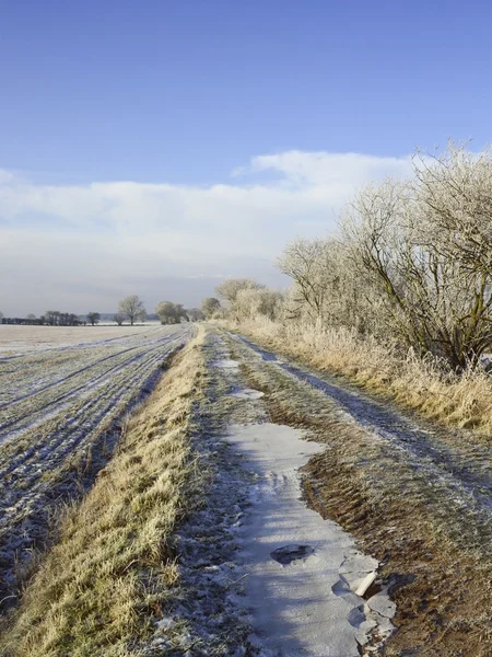 Frosted countryside — Stock Photo, Image