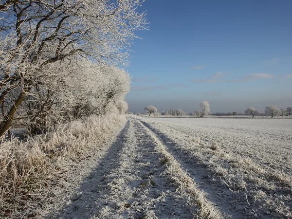 Weiß gefrostete Landschaft — Stockfoto