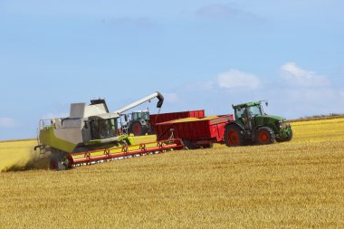 Wolds harvesting 3 clipart